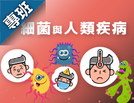 細菌與人類疾病（113-2學分班）