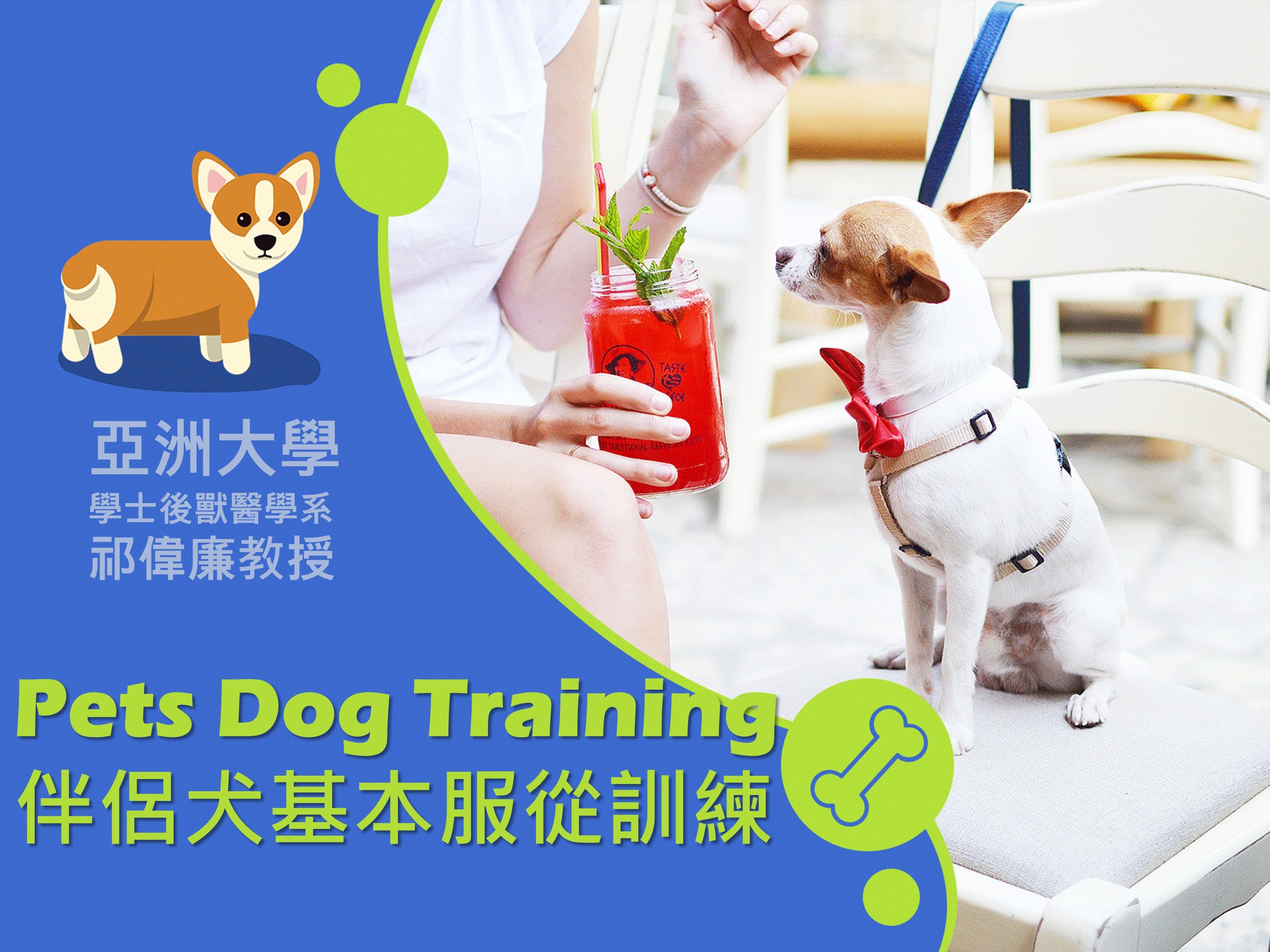 伴侶犬基本服從訓練